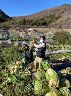 LINE_ALBUM_20221226_221227_3.jpg