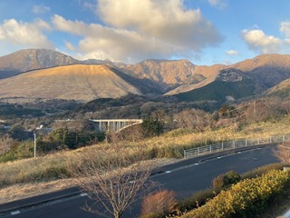 S__162217988.jpg