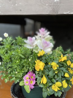 S__75145231.jpg