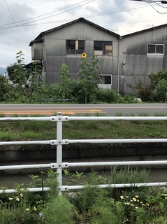 S__10190858.jpg