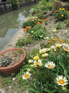 S__2850917.jpg