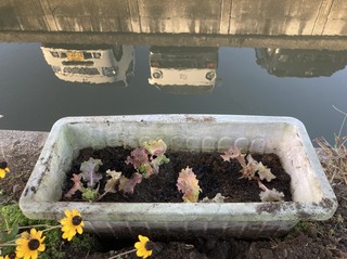 S__41041941.jpg